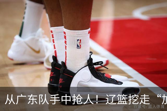 从广东队手中抢人！辽篮挖走“加强版杜润旺”，杜锋痛失锋线新星